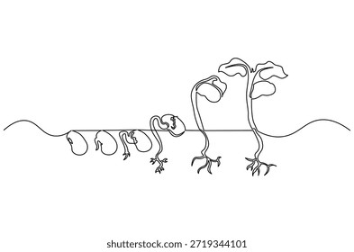 Dibujo continuo de una línea de pequeñas plántulas verdes que crecen. Ilustración de dibujo de una sola línea de germinación de semillas en el suelo. Arte vectorial de concepto de pasos de crecimiento de plantas. Ilustración de línea de Doodle.