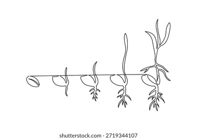 Kontinuierliche einzeilige Zeichnung von Kleinen grünen Sämlingen wächst. Einzeilige Zeichnung Illustration der Samenkeimung im Boden. Pflanzenwachstumsschritte Konzept, Vektorgrafik. Doodle-Linie Illustration.