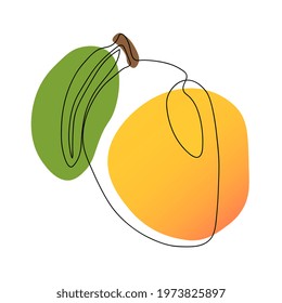 Continuous one line drawing mango. Vector illustration. Black line art on white background with colorful spots. 