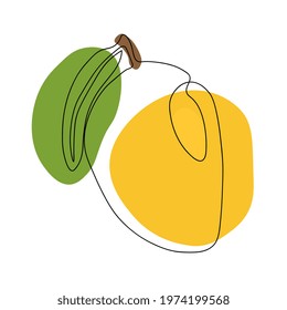 Continuous one line drawing mango. Vector illustration. Black line art on white background with colorful spots. 