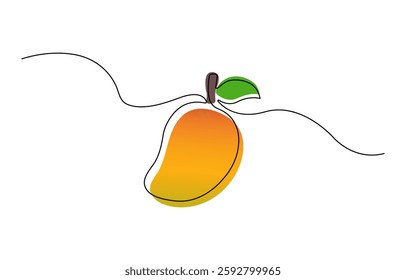 Continuous one line drawing mango, Vector illustration. hand drawn vector illustration of a mango in single line style. 