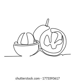 Continuous one line drawing of mangosteen fruit. Vector illustration
