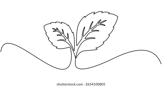 Desenho contínuo de uma linha de menta. Ilustração de vetor de estilo moderno em fundo isolado, Mint, spearmint vetor illustration.Background para design de rótulo. Um desenho artístico de linha contínua. 
