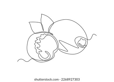 Continuous one line drawing nutmeg. Herb concept. Single line draw design vector graphic illustration.