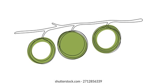 Dibujo continuo de una línea de rama de olivo con tres aceitunas, línea negra con relleno de color verde. Vector de rama de olivo.