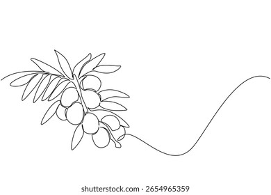 Uma linha contínua de desenho de azeitonas ligada a ramos com muitas folhas. Pronto para ser colhido para o benefício de muitas pessoas. Dia Nacional da Oliva. Ilustração de vetor de design de desenho de linha única
