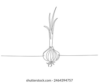 Continuous one line drawing of onion for grocery store. One line drawing illustration of red onion vegetable. Raw vegetable concept continuous line art. Editable outline.