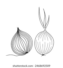 Continuous one line drawing of onion. Doodle vector illustration