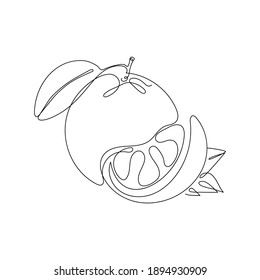 Dibujo continuo de una línea. Naranja o cítrico. Ilustración vectorial. Arte abstracto mínimo. Arte lineal negro sobre fondo blanco