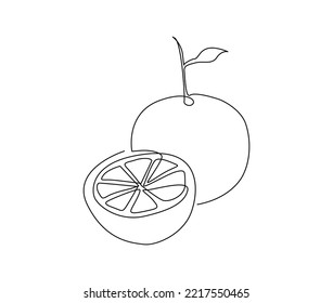 Continuous one line drawing of Orange Fruit. Orange fruit hand drawn single line art vector illustration.
