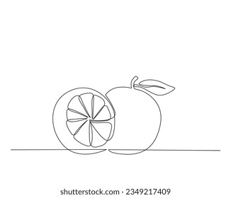 Continuous one line drawing of orange. A whole and slice orange fruit outline vector illustration.  