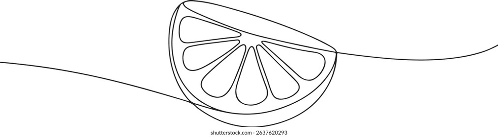 Continuous one line drawing of an orange fruit slice, minimal black line sketch on white background, citrus vector illustration

