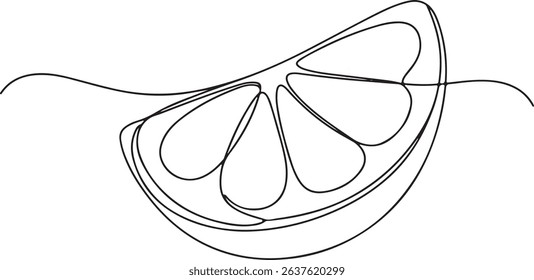 Continuous one line drawing of an orange fruit slice, minimal black line sketch on white background, citrus vector illustration

