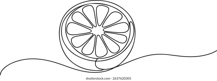 Continuous one line drawing of an orange fruit slice, minimal black line sketch on white background, citrus vector illustration

