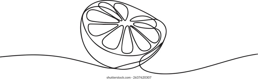 Continuous one line drawing of an orange fruit slice, minimal black line sketch on white background, citrus vector illustration

