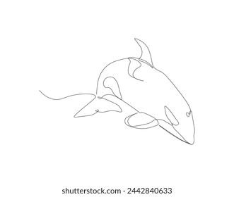 Continuous one line drawing of orca whale. One line of wild whale killer. Under ocean concept continuous line art. Editable outline.