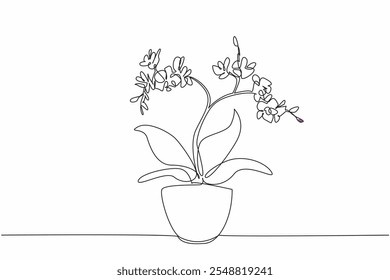 Continuous one line drawing orchid flowers in pots. Ornamental plants can be used as hair oil ingredients. Beautiful medicinal plants. National Orchid Day. Single line draw design vector illustration