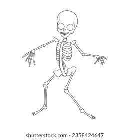 Continuous one line drawing of outline skeleton vector illustration 