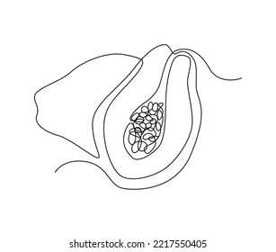Continuous one line drawing of papaya fruit with leaf. Half papaya fruit hand drawn single line art vector illustration.