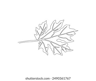 Continuous one line drawing of papaya leaf. Single line drawing illustration of tropical papaya leaf plant. Tropical leaves concept line art. Editable outline