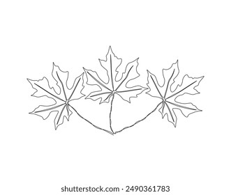 Dibujo continuo de una línea de hoja de papaya. Ilustración de dibujo de una sola línea de la planta tropical de la hoja de papaya. Hojas tropicales concepto arte de línea. Esquema editable