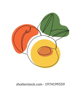 Continuous one line drawing peach. Vector illustration. Black line art on white background with colorful spots. Cartoon peach isolated on white background.  Vegan concept