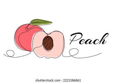 Continuous one line drawing of peach. Vector illustration on isolated background.