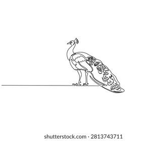 Continuous one line drawing of peacock. One line drawing illustration of peacock animal. Bird with beautiful tail feather concept single line. Editable outline
