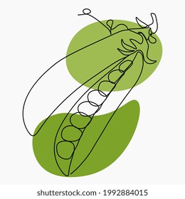 Continuous one line drawing peas. Vector illustration. Black line art on white background. Cartoon peas isolated on white background with  colorful spots. Vegan concept