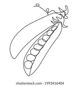 Continuous one line drawing peas. Vector illustration. Black line art on white background. Cartoon peas isolated on white background with  colorful spots. Vegan concept