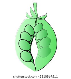 continuous one line drawing of peas vector illustration
