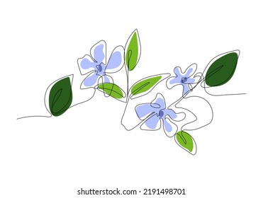 Continuous one line drawing of periwinkle. Vector illustration on isolated background.