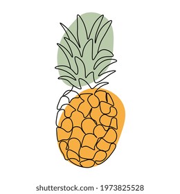 Continuous one line drawing pineapple. Vector illustration. Black line art on white background with colorful spots. Cartoon pineapple isolated on white background.  Vegan concept