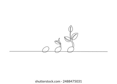 Continuous one line drawing Plant growth process Vector