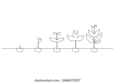 Dibujo continuo de una línea Vector del proceso de crecimiento de la planta