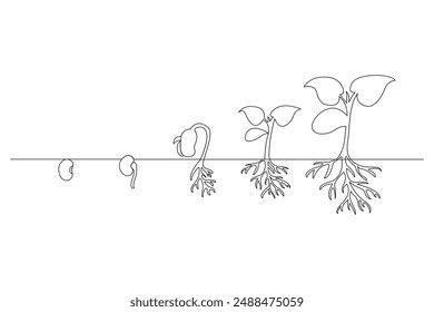 Dibujo continuo de una línea Vector del proceso de crecimiento de la planta