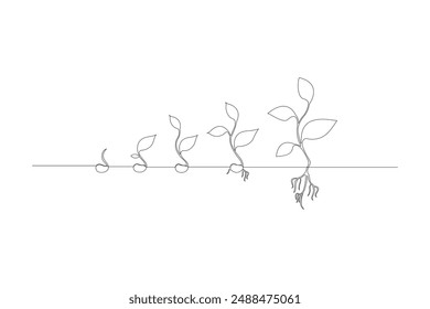 Continuous one line drawing Plant growth process Vector