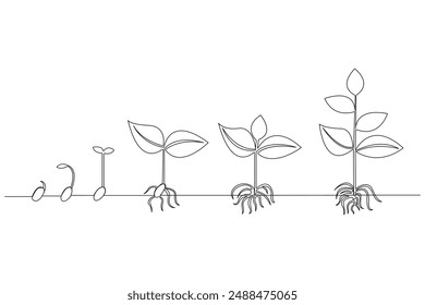 Continuous one line drawing Plant growth process Vector