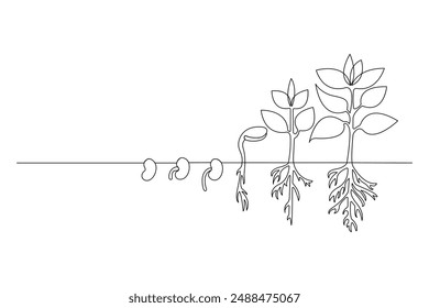 Dibujo continuo de una línea Vector del proceso de crecimiento de la planta