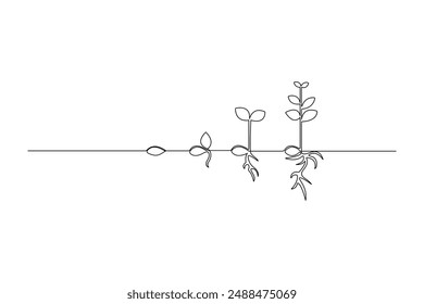 Dibujo continuo de una línea Vector del proceso de crecimiento de la planta