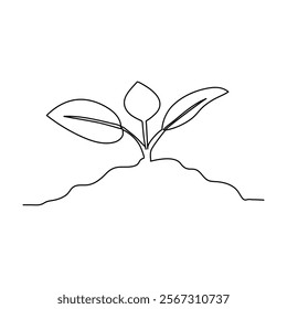 Continuous one line drawing of plant growth processing from seed outline vector art illustration art