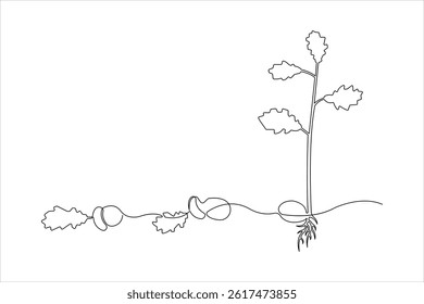 Continuous one line drawing of plant growing process