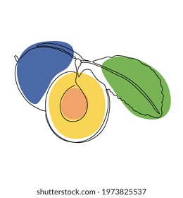 Continuous one line drawing plum. Vector illustration. Black line art on white background with colorful spots. 