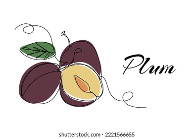 Dibujo continuo de una línea de ciruelas. Ilustración vectorial en el fondo aislado.