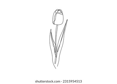 Continuous one line drawing potted plants and flowers for the interior. Interior concept. Single line draw design vector graphic illustration.