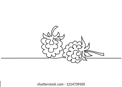 Continuous One Line Drawing. Raspberry Berry Fruit. Vector Illustration