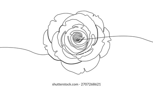 Continuous one line drawing of a rose flower. Editable black stroke on a white background. Vector illustration.