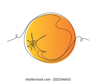 Continuous one line drawing of round rip juicy orange in silhouette on a white background. Linear stylized.Minimalist.