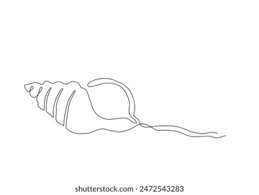Continuous one line drawing of sea shell isolated element. Vector outline summer beach illustration. Black and white vacation concept, minimal line art. Underwater natural coral, linear poster