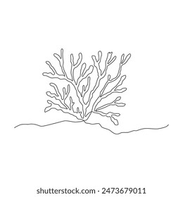 Continuous one line drawing of sea coral isolated element. Vector outline summer beach illustration. Black and white vacation concept, minimal line art. Underwater natural coral, linear poster